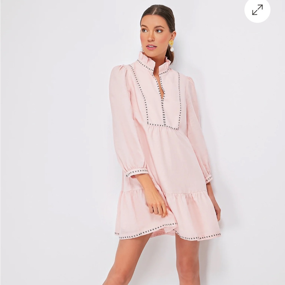 Tuckernuck Pink Ruffled Popover Mini Dress